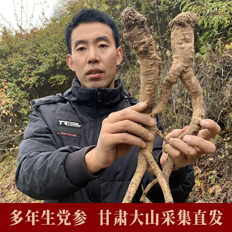 甘肃多年生党参大条250克党参参片500克可配黄芪当归泡水切片