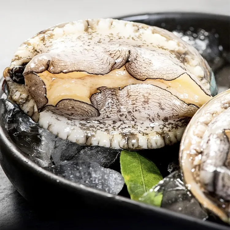 【鲜冻】九孔鲍鱼肉4头鲍鱼手剥纯肉14颗左右约520克-540克之间每包