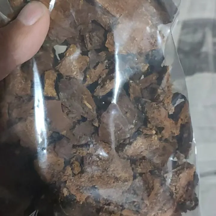 (山货）长白山桦褐孔菌菇250克 桦树茸 一袋