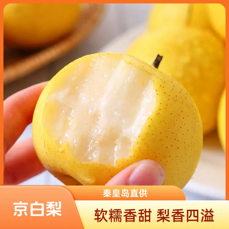 正宗精品京白梨秦皇岛特产皮薄多汁清香新鲜好吃甘甜孕妇水果