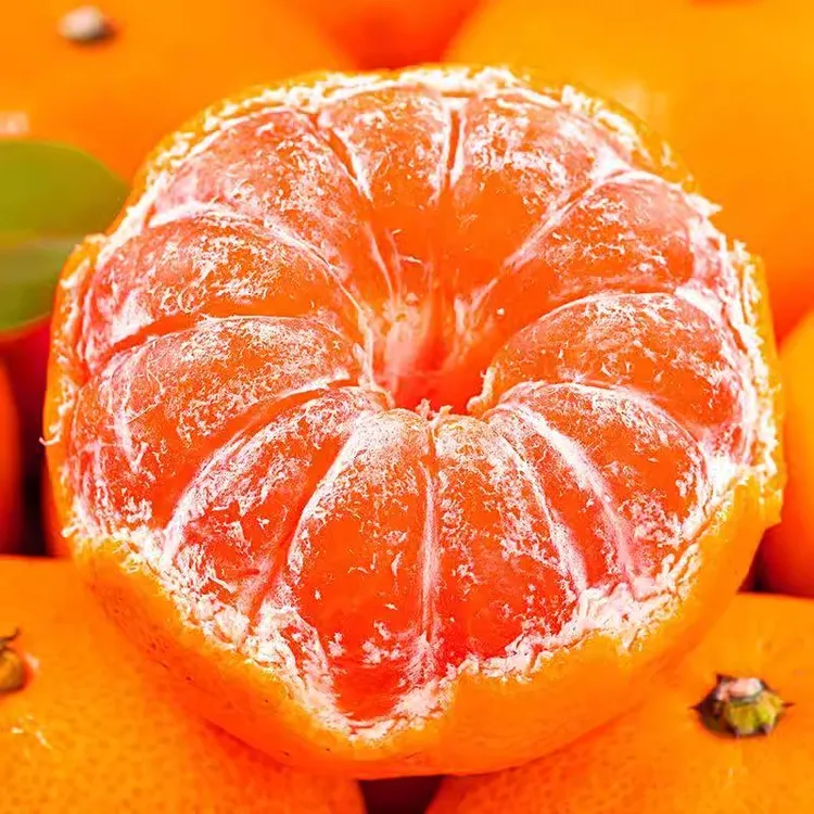 【精选鲜果】正宗临海涌泉蜜桔新鲜浙江橘子当季时令水果整箱包邮