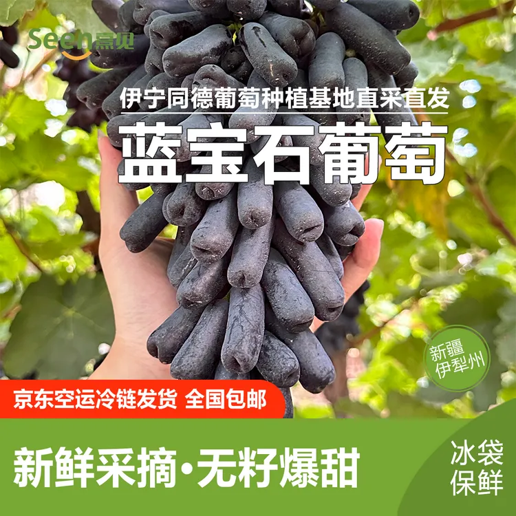 新疆现摘现发精选优质蓝宝石无籽黑提美人指葡萄【航空冷链空运】