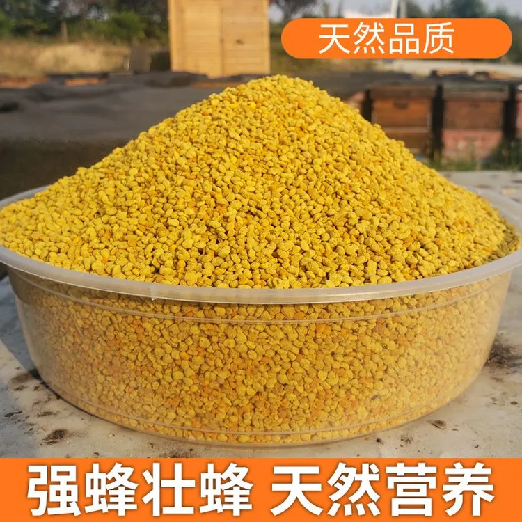 喂蜂养蜂花粉蜜蜂饲料蜂粮颗粒状油菜杂粉中意蜂代用花粉养蜂工具