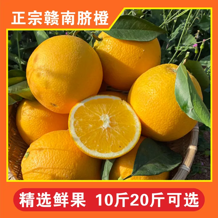 赣南脐橙（安远彭橙）新鲜现摘10/20斤【产地直发】7天后发货