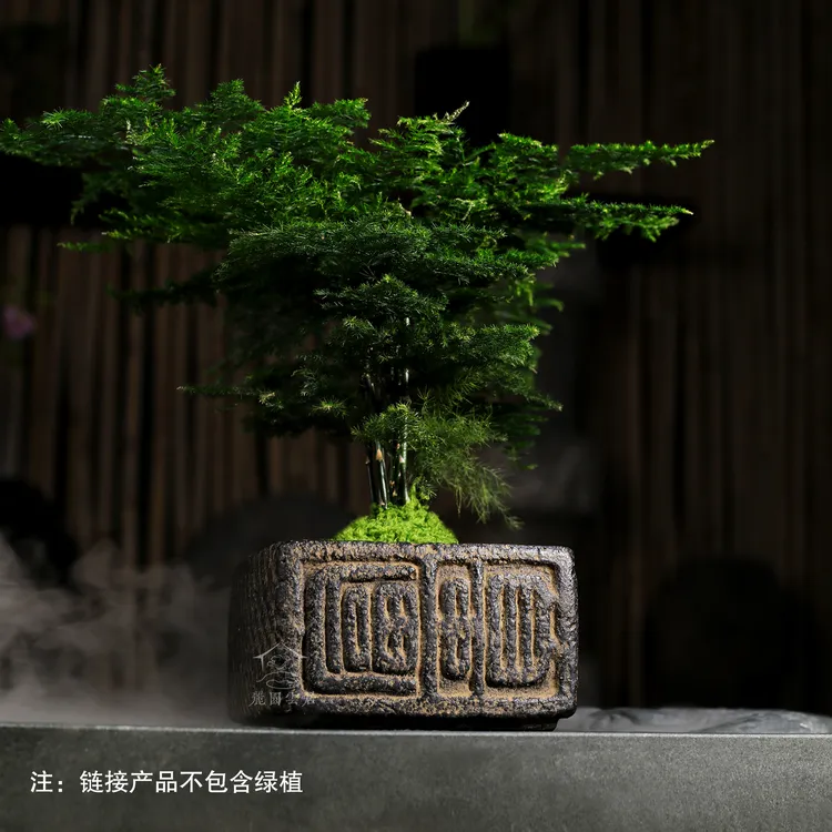 水培器皿绿植微景观花盆老物件复古做旧花器-小富贵