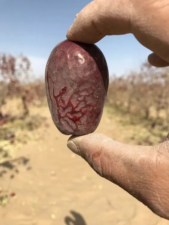 (新疆产地直发)和田大枣一级特级混合实惠装