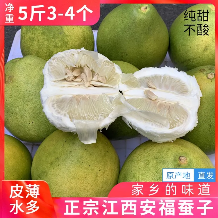 【2025新上市】江西安福蚕子武功山金兰柚正宗萍乡蚕子井冈山土柚子