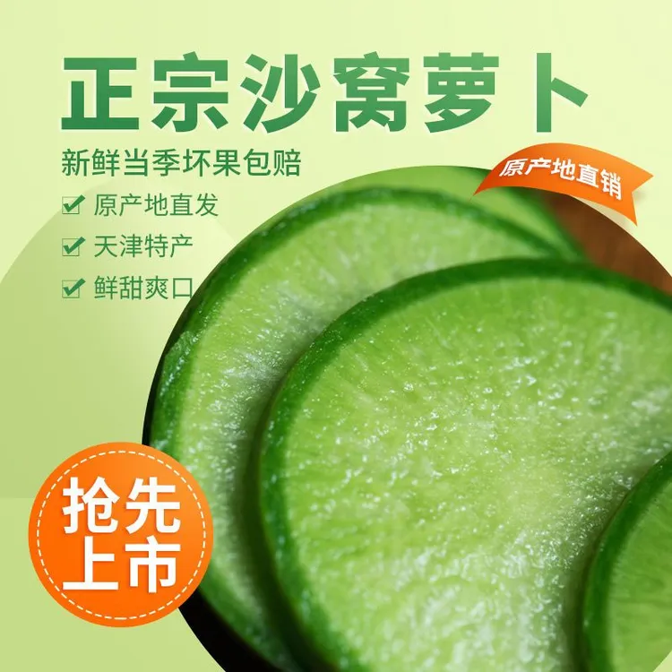 沙窝萝卜冰淇淋萝卜混装9斤