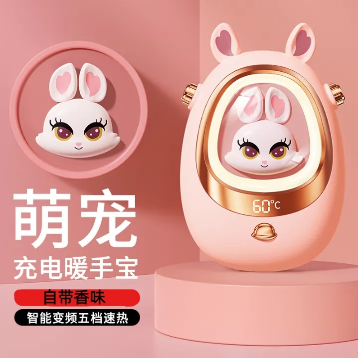 2024新款usb暖手宝女生暖宝宝生日礼物小学生儿童可爱萌宠热水袋