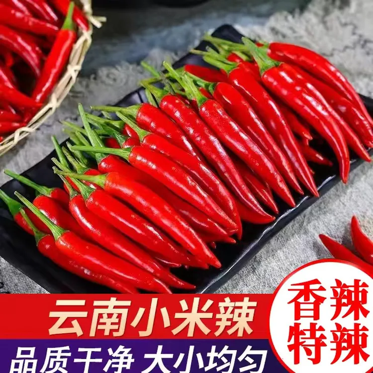 云南小米辣农家种植特辣鲜香现摘现发辣椒小米椒朝天椒