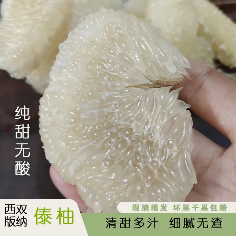 云南西双版纳傣柚柚子小孩孕妇应季水果鲜嫩多汁新鲜浓郁清甜