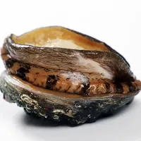 【长春同城】5头活鲍鱼 1.8斤（保鲜不保活）