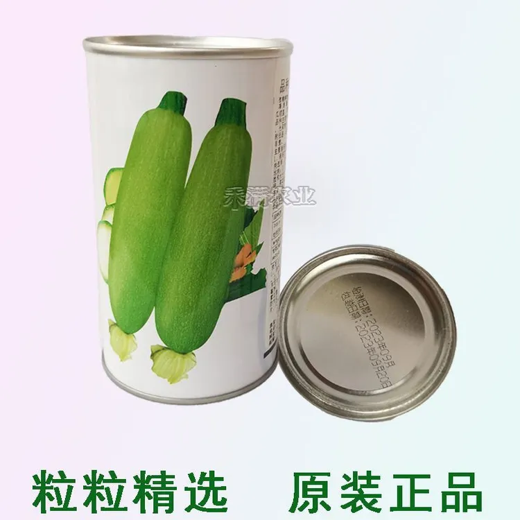 10月播种早熟西葫芦种孑捷利亚秀绿140瓠瓜种籽种抗病耐寒耐热