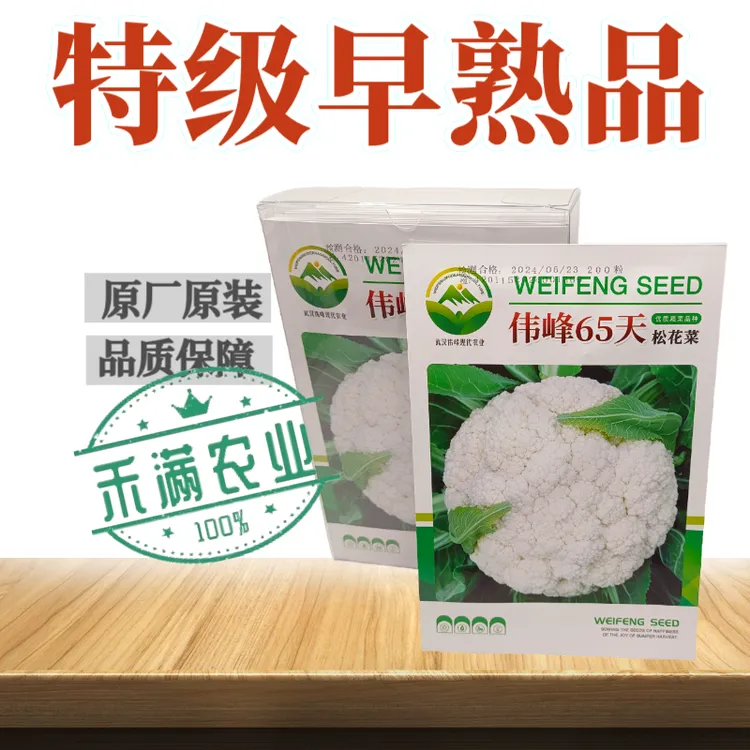 春季育苗65天松花菜种子春秋花菜种籽花椰菜籽早中熟青梗松花菜籽