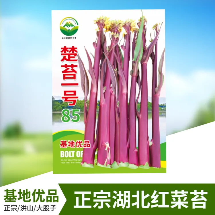 正宗大粗股子2克装楚苔一号85红菜苔种子正宗洪山菜苔种菜子种籽1