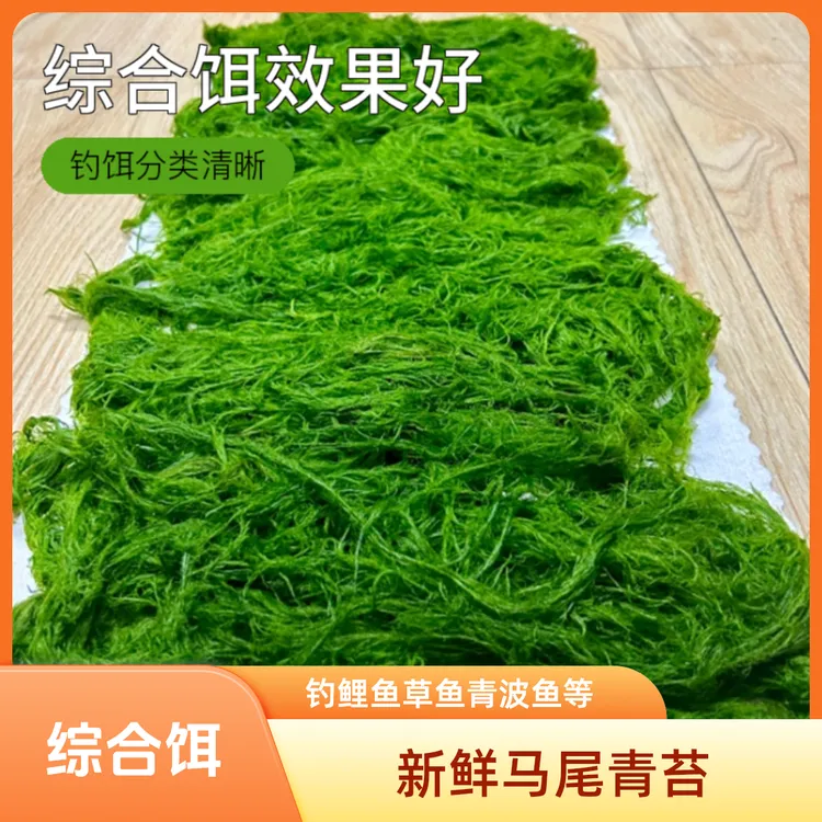 新鲜马尾青苔主钓鲤鱼草鱼青波鱼等