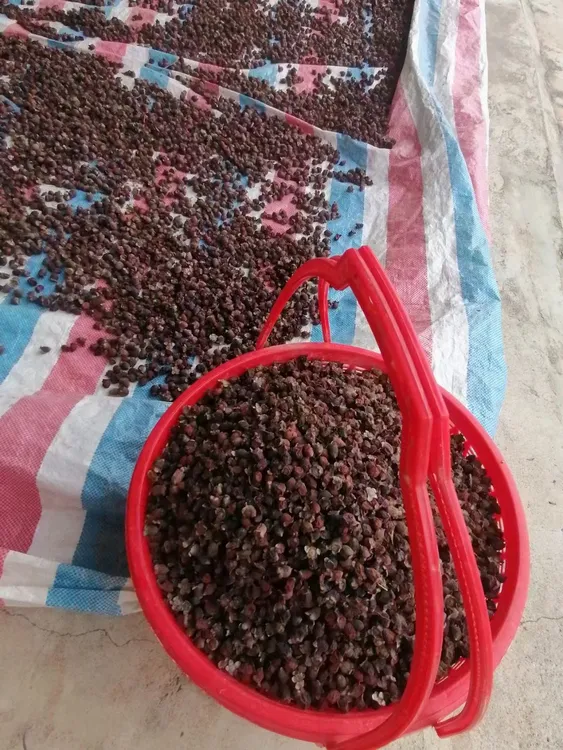 潮州文祠乌多尼500克三蒸三晒可泡酒泡水