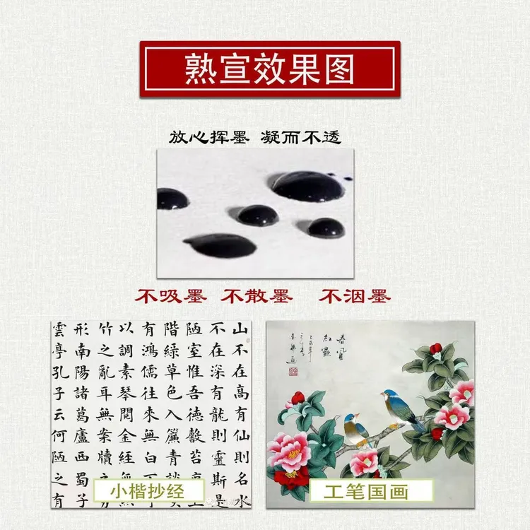 宣纸半生半熟生宣纸国画书法套装练习初学者创作毛笔毛边纸国画纸