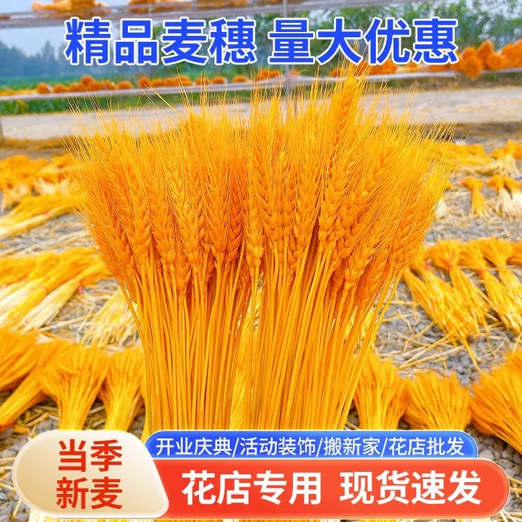 【波哥推荐】精品A级黄金大麦插花开业花篮仿真花干花束厂家直发