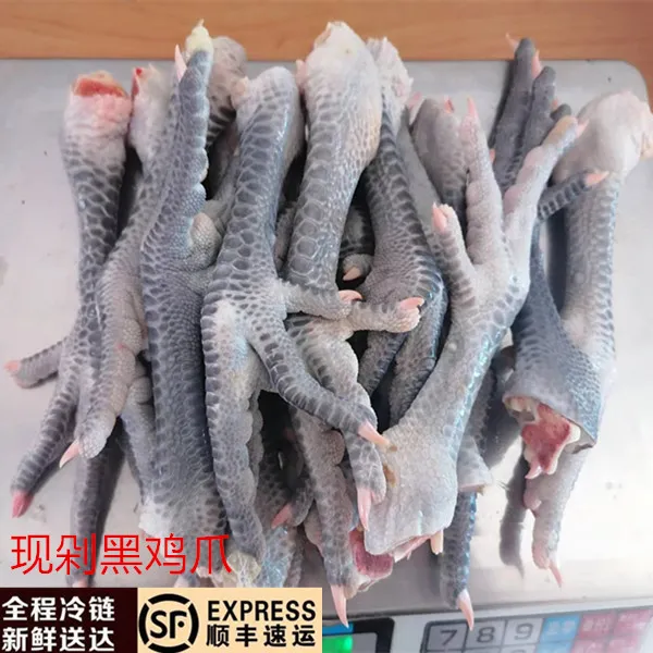 新鲜黑鸡爪 现杀现剁黑鸡爪子 公鸡爪 黑鸡脚剔骨专用商用