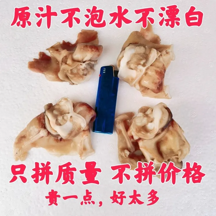 原汁鱿鱼脖批发单冻大鱿鱼脖子脆脆骨商用无冰衣火锅烧烤穿串食材