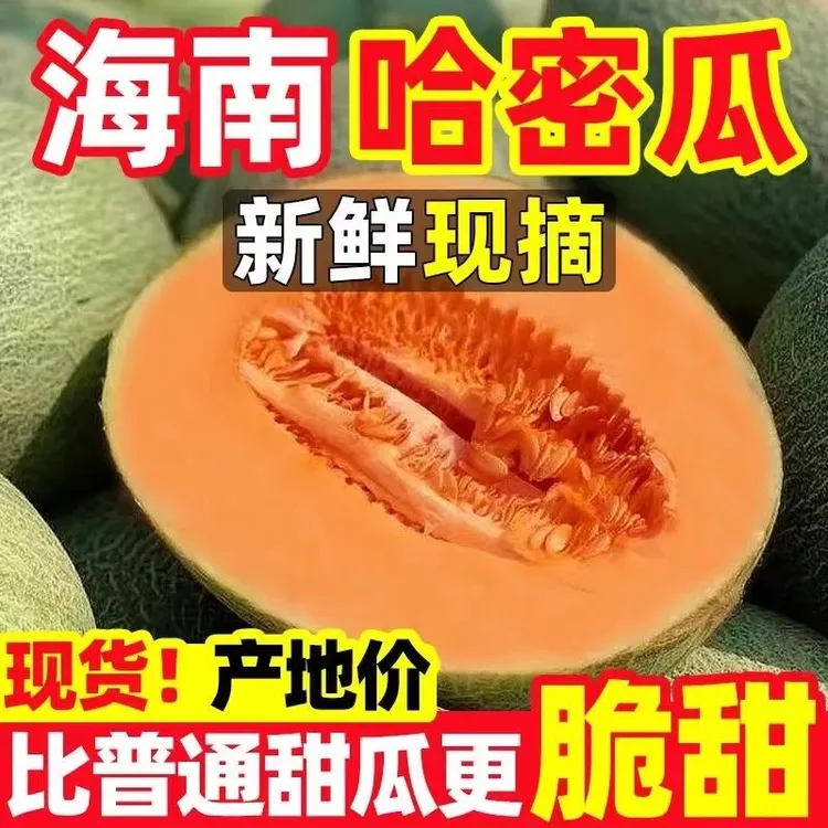 正宗海南哈密瓜西州蜜晓蜜网纹瓜脆甜多汁现摘现发当季孕妇水果