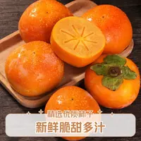 云南大理蜜甜脆柿