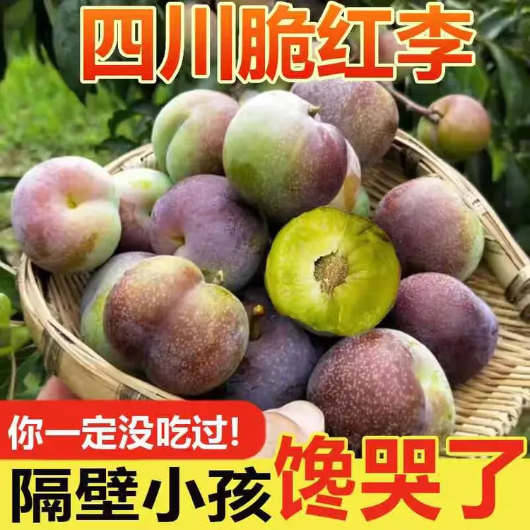 四川宜宾红脆李茵红李脱骨半边红脆甜李子多汁爽口酸甜正宗现货