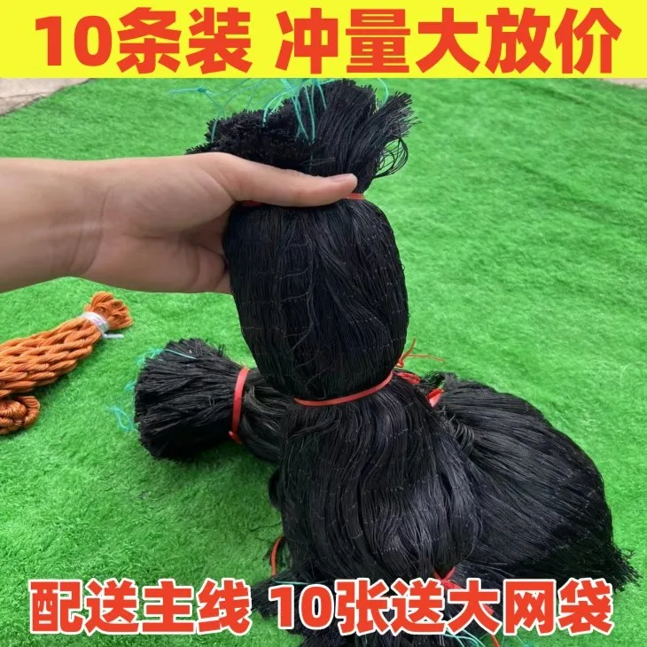 户外防蛇网长虫网黑色尼龙网渔网栏蛇网加粗尼龙网地网蛇袋防虫网