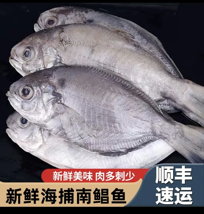 潮汕神泉港 南鲳鱼 杀好一包400克 发5包