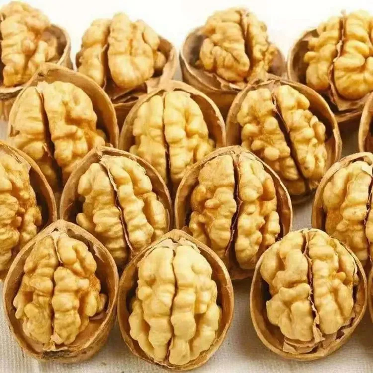 新疆阿克苏纸皮核桃手捏即开薄皮营养食用饱满