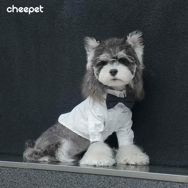 cheepet/趣派经典领结白衬衫比熊雪纳瑞泰迪
