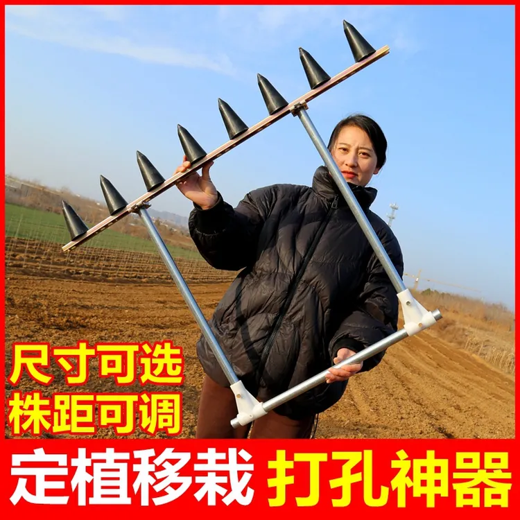 种草莓神器种植打孔器农用工具花生蔬菜农活打洞移栽机移苗栽苗器