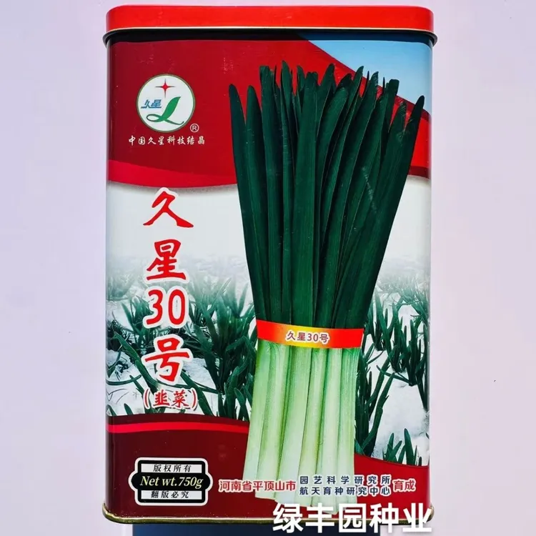 久星30号韭菜种子冬季不休眠新品种河南平顶山韭菜种籽特抗寒抗病