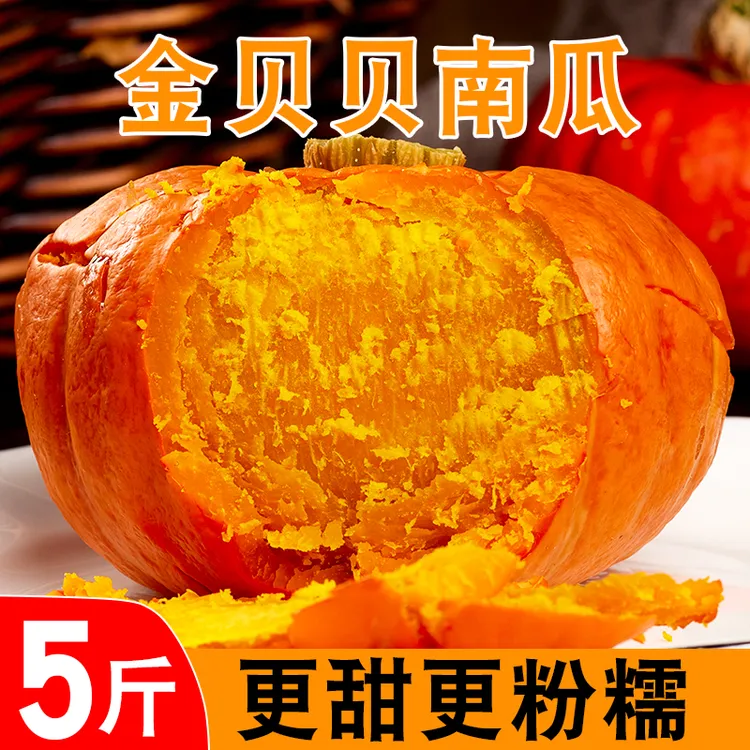 金贝贝南瓜5斤10斤金小贝板栗小南瓜老瓜粉糯香甜红贝贝山东栗面商品图