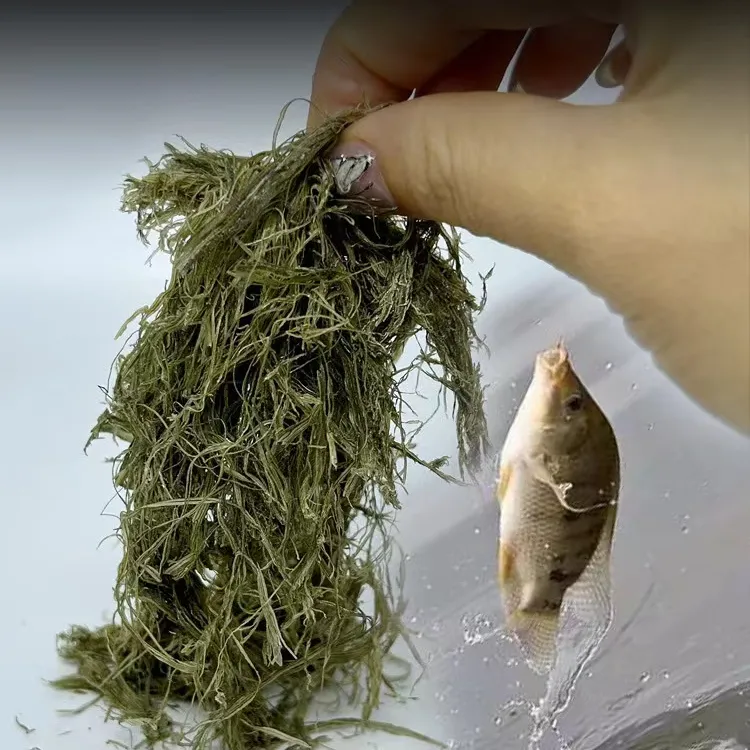 昆布丝海带泥昆布丝拉饵饵料罗非昆布丝鱼饵丸九昆布丝真昆布丝