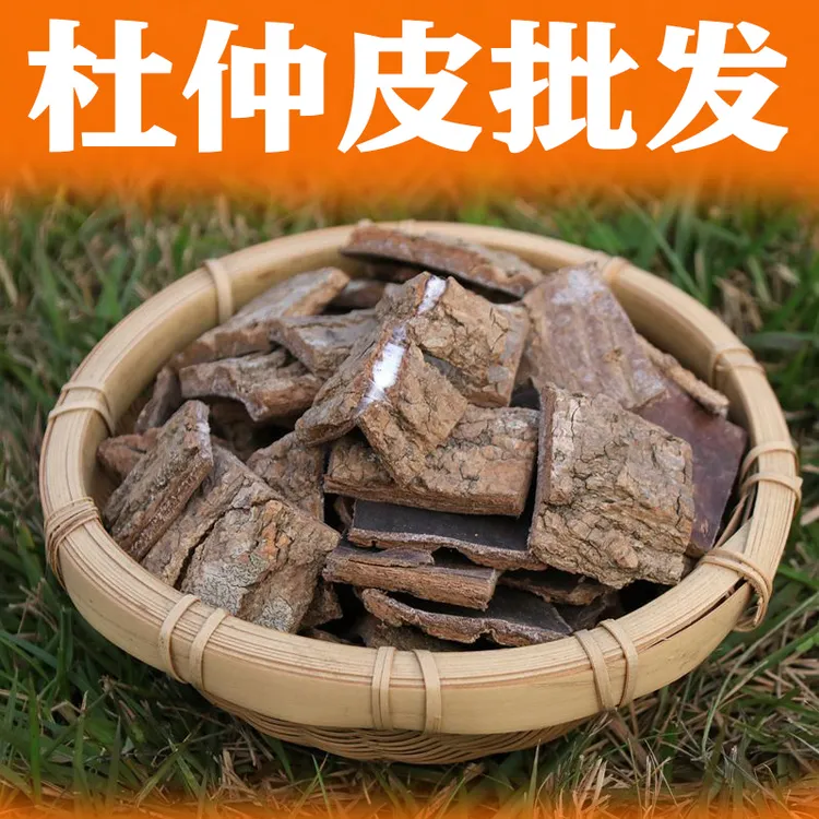 正品川杜仲皮批发 正宗新货原产杜仲炒杜仲茶肉桂杜仲杜仲片
