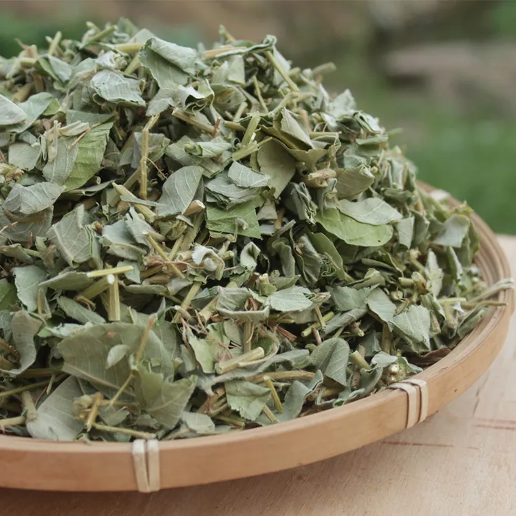 新货金钱草 正品广西正宗食用金钱草精选金钱草新鲜金钱草干货