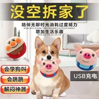 宠物狗狗玩具跳跳球超耐咬磨牙洁齿发声玩具泰迪比熊柯基解闷神器