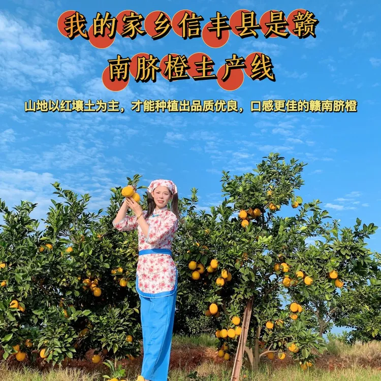 《橙家姐妹》正宗江西赣南信丰脐橙5斤10斤20斤自家果园现摘现发