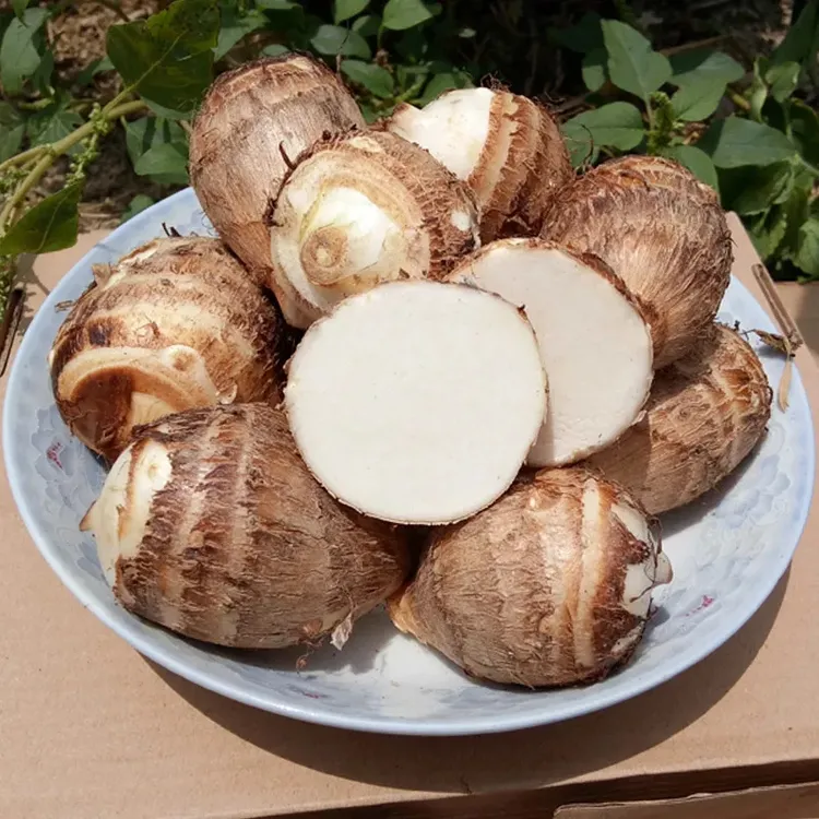 云南新鲜牛奶小芋头毛芋头软糯5斤-9斤包邮奶香香糯自种好吃浓郁