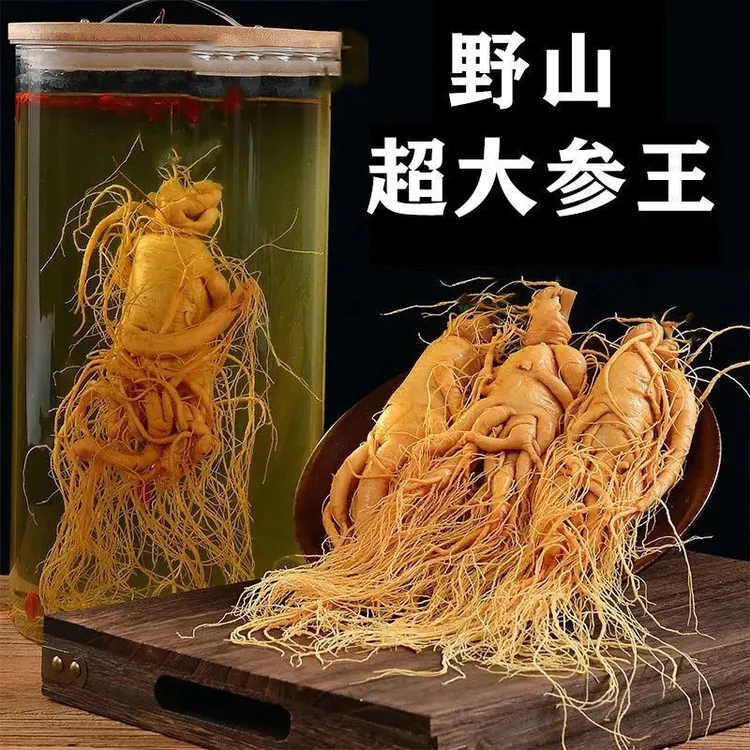 特大人参长白山人参保鲜参东北吉林长白山【特大老参王泡酒专用】
