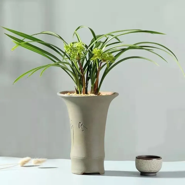 【花开富贵】春兰浓香花卉盆栽客厅美观年宵花原盆发室内正宗兰花苗