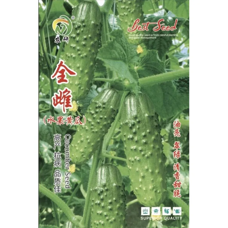 全雌水果黄瓜种子约100 粒
