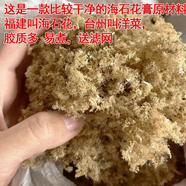 比较干净款小海石花草 洋菜 泉州四果汤石花膏原材料原料100g