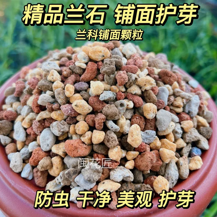 兰花铺面兰石护茎土护心土颗粒多肉花卉铺面植金石火烧土赤玉土