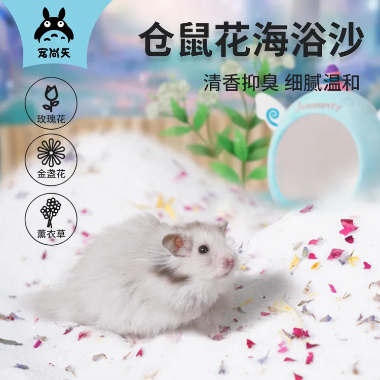 DR宠尚天仓鼠浴沙杀菌除臭沙漠沙金丝熊洗澡专用尿砂粮食套装用品
