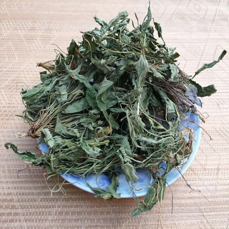 野生地丁草新货地丁野生紫花地丁仅花地丁草250g-500g包邮非甘草