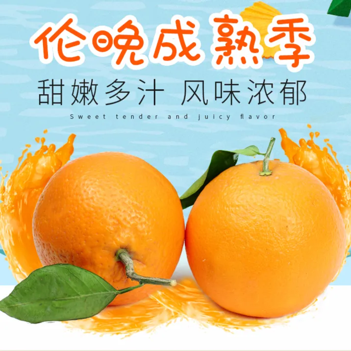 秭归脐橙伦晚春橙新鲜采摘优选鲜橙果香当季水果橙子包邮