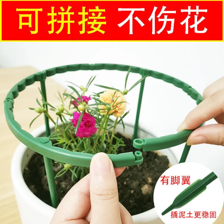 蟹爪兰花支架爬藤花支架太阳花支架防倒伏支撑杆兰花护叶护花支架